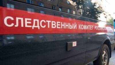 Юлия Иванова - В Москве девушка прыгнула с 4-го этажа, спасаясь от насильника, но он догнал ее - znak.com - Москва - Россия