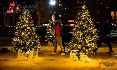 Новгородцы останутся без фейерверка и церемонии зажжения огней на новогодней елке - fedpress.ru - Великий Новгород