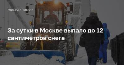 За сутки в Москве выпало до 12 сантиметров снега - mos.ru - Москва