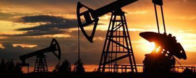 Минэнерго США повысило прогноз по добыче нефти в стране на 2021 год и снизило на 2022 год - runews24.ru - США