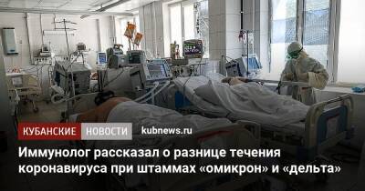 Владислав Жемчугов - Иммунолог рассказал о разнице течения коронавируса при штаммах «омикрон» и «дельта» - kubnews.ru