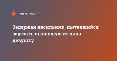 Задержан насильник, пытавшийся зарезать выпавшую из окна девушку - ren.tv - Москва - Россия - Таджикистан - Москва