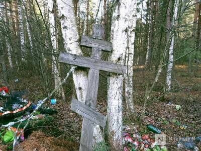 Смертность более чем вдвое превысила рождаемость в Ниджегородской области - vgoroden.ru - Нижегородская обл. - Нижний Новгород