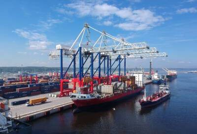 Морской порт "Бронка" в Петербурге перешел в госсобственность - online47.ru - Санкт-Петербург - Белоруссия - Бронка