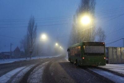 Дед Мороз привез с собой в Саратов теплую погоду - saratov.mk.ru - Саратовская обл. - Саратов