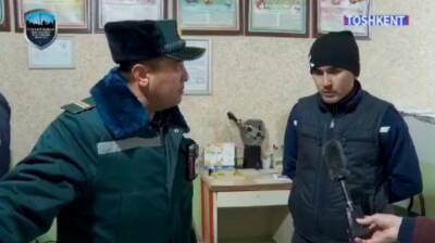 На рынке "Авиасозлар" нашли партию непригодного к употреблению мяса. Его планировали реализовать в преддверии праздников населению - podrobno.uz - Узбекистан - Ташкент