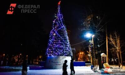 Полина Зиновьева - В России увеличилась цена на «новогодний набор» - fedpress.ru - Москва - Россия