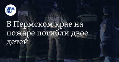 В Пермском крае на пожаре погибли двое детей - ura.news - Пермский край