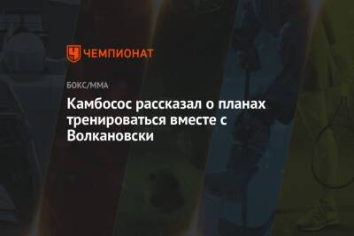 Александр Волкановски - Джордж Камбосос - Камбосос рассказал о планах тренироваться вместе с Волкановски - championat.com - Австралия