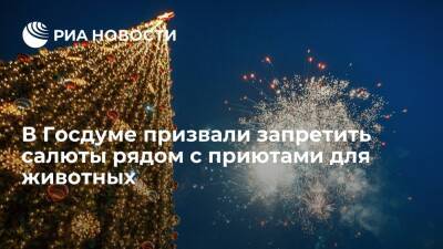 Владимир Бурматов - Депутат ГД Бурматов призвал запретить салюты рядом с приютами для животных и зоопарками - ria.ru - Москва - Россия