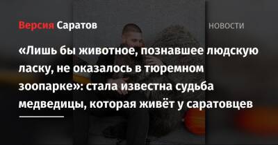 Карен Даллакян - «Лишь бы животное, познавшее людскую ласку, не оказалось в тюремном зоопарке»: стала известна судьба медведицы, которая живёт у саратовцев - nversia.ru - Саратовская обл. - Челябинск - Пензенская обл.