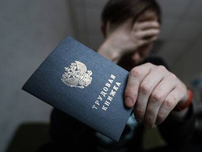 Депутат Госдумы предрек рост безработицы из-за введения QR-кодов - novostidnya24.ru - Россия