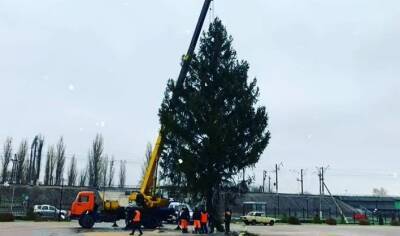В Грязях установили 19-метровую елку (видео) - lipetskmedia.ru - район Грязинский