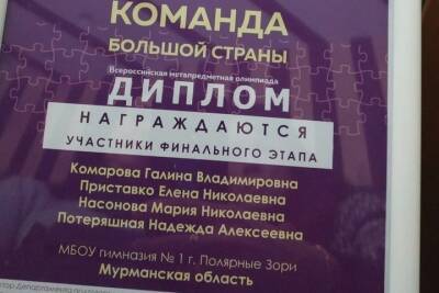Педагоги из Полярных Зорь стали финалистами метапредметной олимпиады «Команда большой страны» - murmansk.mk.ru - Россия - Мурманская обл.
