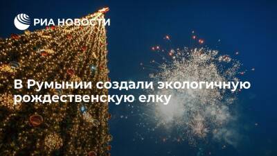 Одну из площадей города Арада в Румынии украсили экологичной рождественской елкой - ria.ru - Москва - Румыния - Амстердам - Прага - Европа - Экология