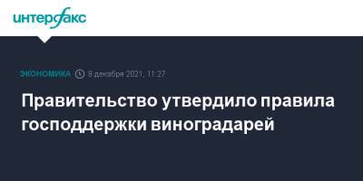 Правительство утвердило правила господдержки виноградарей - interfax.ru - Москва