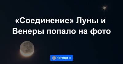 Анна Лысенко - «Соединение» Луны и Венеры попало на фото - news.mail.ru