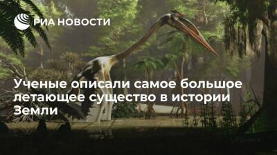 Окаменелости возрастом 70 миллионов лет позволили воссоздать полет гигантского птерозавра - ria.ru - Москва - США - Техас