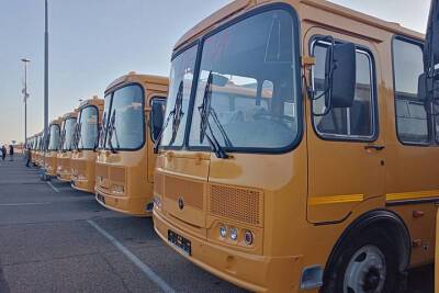 В школы Кубани направили 84 новых автобуса - kuban.mk.ru - Краснодарский край
