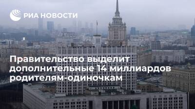 Михаил Мишустин - Правительство выделит дополнительные 14 миллиардов рублей на выплаты родителям-одиночкам - ria.ru - Москва