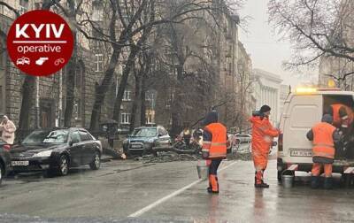 В Киеве из-за непогоды на авто падают деревья - korrespondent.net - Украина - Киев - Киев