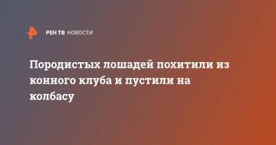 Породистых лошадей похитили из конного клуба и пустили на колбасу - ren.tv - Московская обл. - Московская область