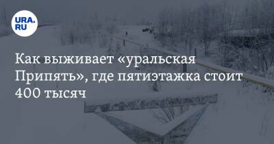 Как выживает «уральская Припять», где пятиэтажка стоит 400 тысяч - ura.news - Москва - Россия - респ. Чечня - Пермский край - Юбилейный