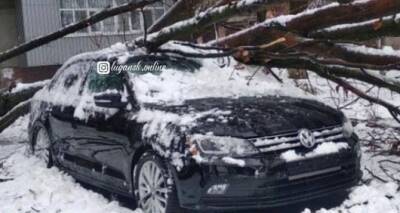 Глава Луганска Манолис Пилавов поручил городским службам работать в усиленном режиме - cxid.info - Луганск