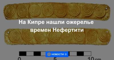 На Кипре нашли ожерелье времен Нефертити - news.mail.ru - Египет - Кипр