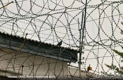 Людмила Денисова - Стало известно, сколько украинок удерживается в тюрьмах боевиков в «Л/ДНР» - lenta.ua - Россия - Украина - Киев - ДНР - Горловка - Донецк - Омбудсмен