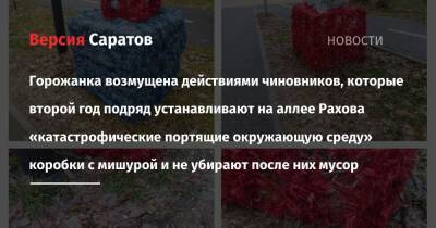Горожанка возмущена действиями чиновников, которые второй год подряд устанавливают на аллее Рахова «катастрофические портящие окружающую среду» коробки с мишурой и не убирают после них мусор - nversia.ru - район Октябрьский