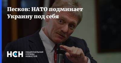 Дмитрий Песков - Песков - Песков: НАТО подминает Украину под себя - nsn.fm - Москва - Россия - Украина - Вашингтон