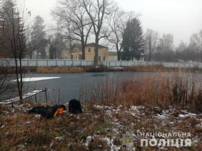 В Житомирской области пропали два студента. Их тела нашли в водоеме на территории колледжа - gordonua.com - Украина - Житомирская обл. - Житомир