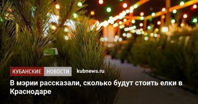 В мэрии рассказали, сколько будут стоить елки в Краснодаре - kubnews.ru - Краснодарский край - Краснодар - Саратовская обл. - Пермский край - Оренбургская обл. - Пензенская обл. - Краснодар