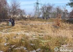 Владимир Демчишин - Печерский суд разрешил задержать бывшего министра энергетики и угольной промышленности - rupor.info - Украина - Киев