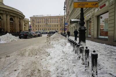 Петербургские школьники начали зарабатывать 250 рублей в час за помощь в уборке снега - spb.mk.ru - район Фрунзенский