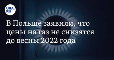 В Польше заявили, что цены на газ не снизятся до весны 2022 года - ura.news - Польша