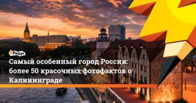 Самый особенный город России: более 50 красочных фотофактов о Калининграде - ridus.ru - Россия - Германия - Калининград