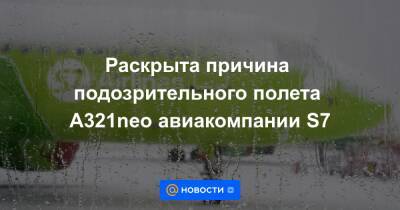 Раскрыта причина подозрительного полета A321neo авиакомпании S7 - news.mail.ru - Россия