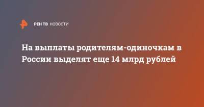 Владимир Путин - Михаил Мишустин - На выплаты родителям-одиночкам в России выделят еще 14 млрд рублей - ren.tv - Россия