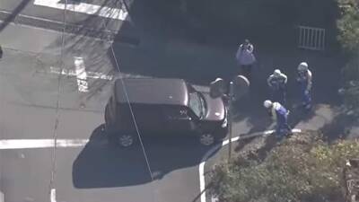 В Японии десять детей пострадали в результате наезда автомобиля - iz.ru - Израиль - Япония