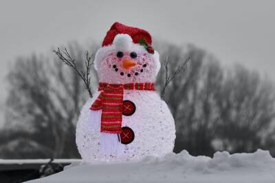 Созданный детьми снеговик для TikTok привел к пожару в томской школе - news.vse42.ru - Томск