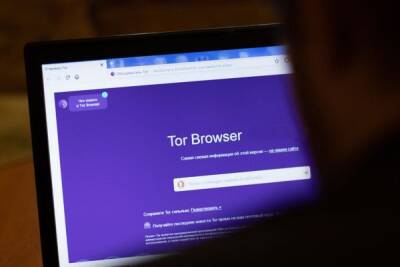Александр Хинштейн - В Госдуме поддержали блокировку Tor в России - govoritmoskva.ru - Россия