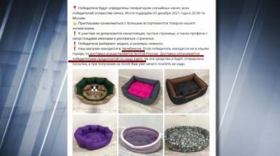 Пензенцев снова предупредили о мошенниках в интернете - penzainform.ru - Челябинск
