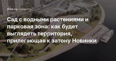 Сергей Кузнецов - Андрей Бочкарев - Сад с водными растениями и парковая зона: как будет выглядеть территория, прилегающая к затону Новинки - mos.ru - Москва - Благоустройство
