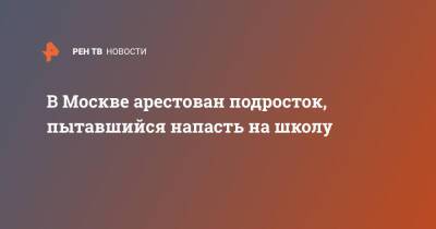 В Москве арестован подросток, пытавшийся напасть на школу - ren.tv - Москва - Москва