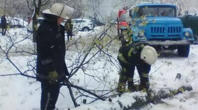 Из-за непогоды без света остались населенные пункты в пяти областях - ru.slovoidilo.ua - Украина - Киев