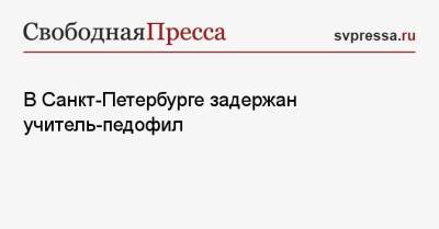 В Санкт-Петербурге задержан учитель-педофил - svpressa.ru - Санкт-Петербург - Новосибирск - Бишкек - р-н. Московский - Новосибирская обл. - Чита