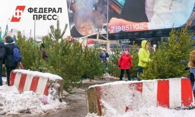 Власти Челябинска определили места для продажи елок - fedpress.ru - Челябинск