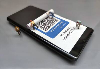 В Воронежском областном суде началось рассмотрение иска об отмене QR-кодов - gorcom36.ru - Воронеж - Воронежская обл.